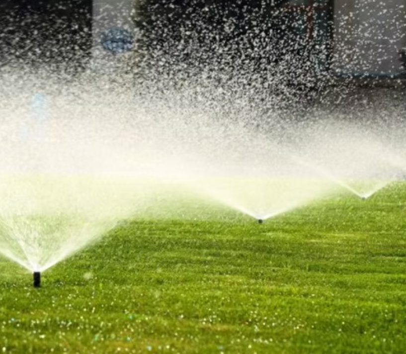 Residential Irrigation | Treetop Landscape